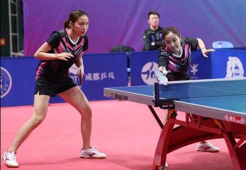 王楚钦出征全运会资格赛：年轻小将的崛起之路