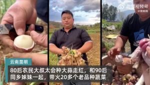 男子种地26年因一颗蒜火了：从田间到网络，他的故事让人动容