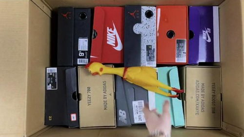 揭秘“开盒”：从网络暴力到隐私泄露的深渊