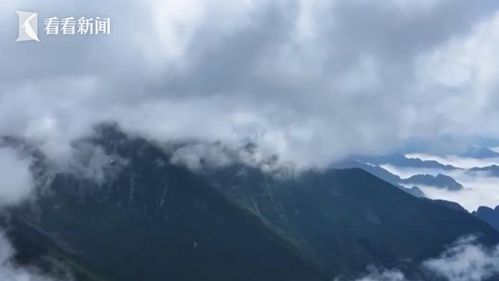 非法穿越秦岭鳌太线获救后被罚，小伙孙亮的反思之旅