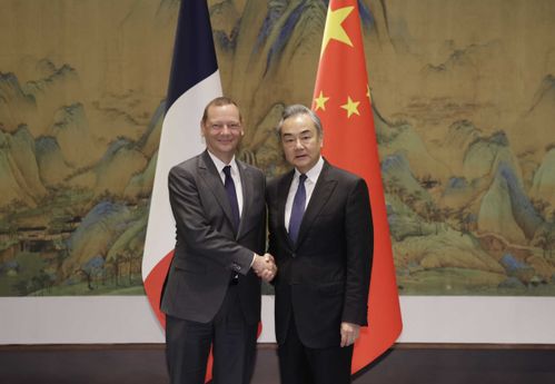 深度解析：媒体人谈王毅同法总统外事顾问通话背后的外交智慧