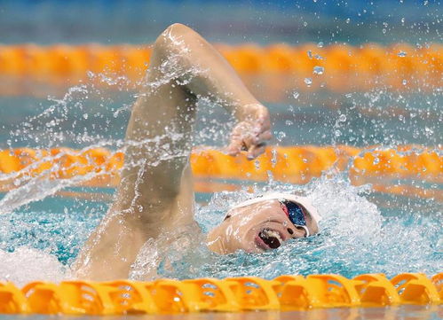 全国游泳春锦赛：刘培鑫夺冠，孙杨摘银，泳坛传奇再续辉煌