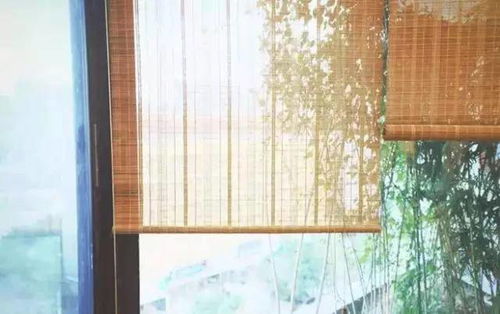 墙上挂竹帘没门：从一句歇后语看生活智慧