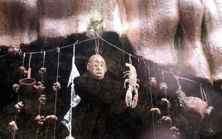 警惕境外间谍陷阱：一名驻外人员的迷失与救赎之路