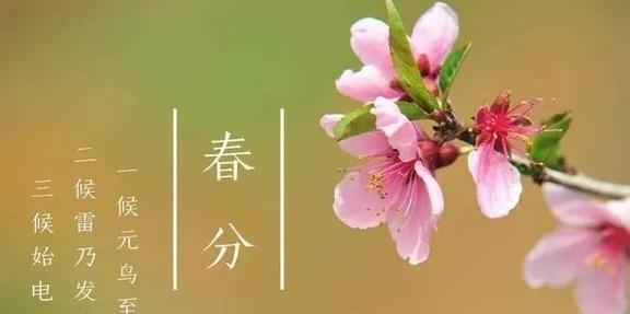 文化中国行：春分时节，万物苏醒的诗意画卷