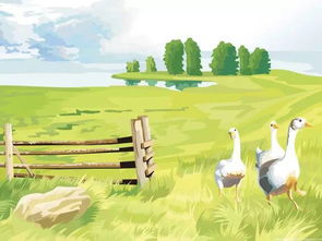 你只管向春天走去：一个普通人的抖音追梦故事