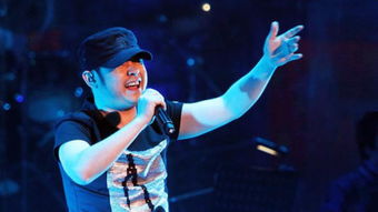 刀郎演唱会收入126万捐赠背后：一场音乐与公益的完美结合