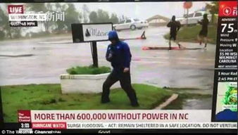 深度解析：间谍案、谣言风波与社会安全