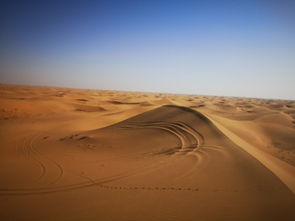 腾格里沙漠性侵事件：真相与正义的追寻