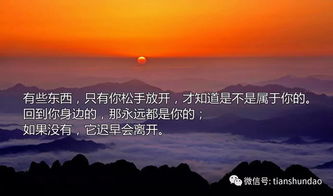 有得有失：人生路上的平衡艺术