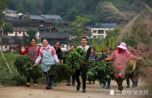 返乡创业是农村大学生翻身的新出路