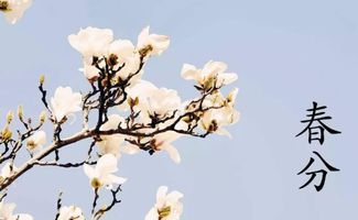 春分时节，探寻舌尖上的春天