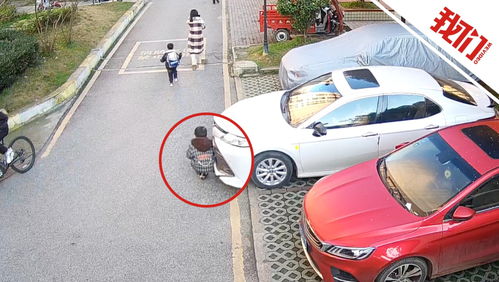 山东聊城“黑车”司机约架致死事件：一场悲剧背后的真相