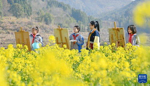 神州大地春意盎然：一场与春天的浪漫邂逅