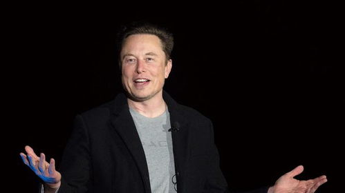 深陷舆论风暴：马斯克的艰难时刻