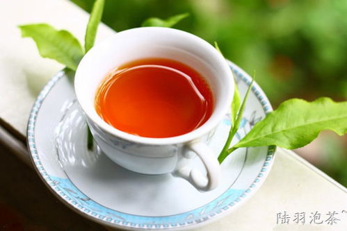 帕金森患者能喝红茶吗？从他的日常选择中找到答案