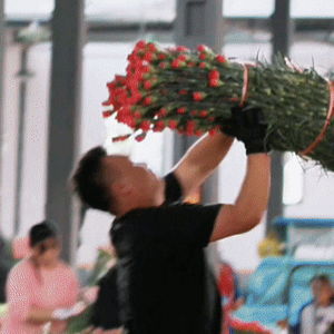 一眼心动的中国｜请查收一份“云南制造”的浪漫