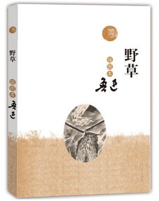 鲁迅《野草·聪明人和傻子和奴才》的深度解读：一个时代的缩影