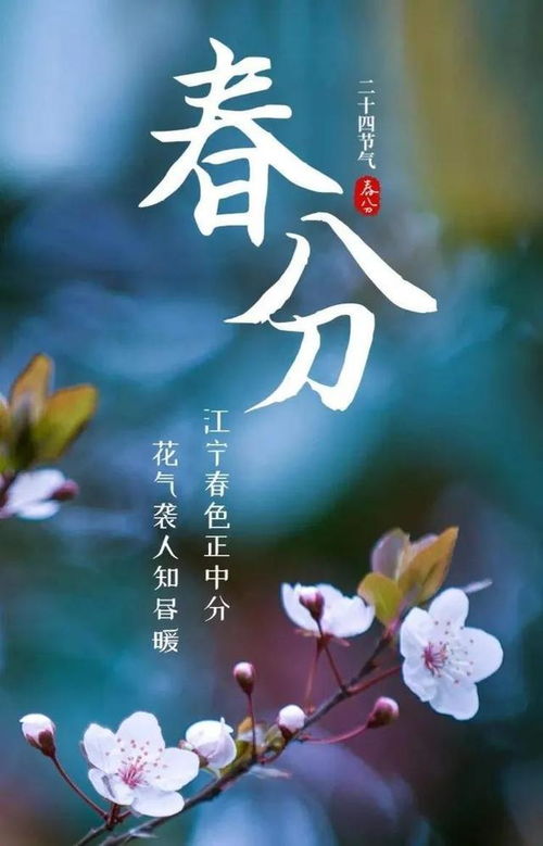 春分文案：在抖音上感受春天的诗意与美好