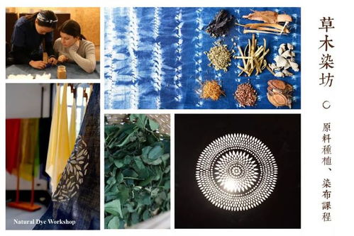 破茧成蝶：在传统文化中汲取蜕变的勇气