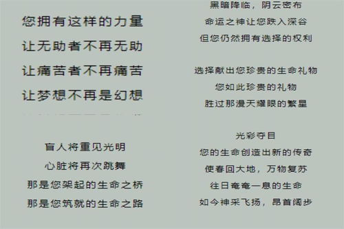 生命的应答：一场与自我对话的旅程