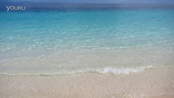 在即兴中找到宁静：一场与海带的奇妙邂逅