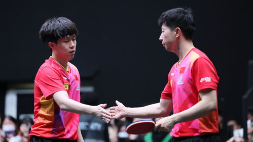 马龙王楚钦3比0朱毅谢聪凡：国乒实力的完美展现