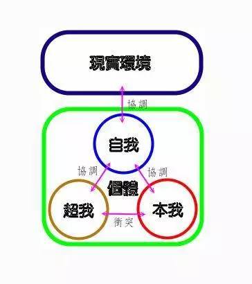 深度剖析：生理、心理与社会行为的交织影响