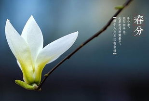 今日春分：感受春天的中点之美