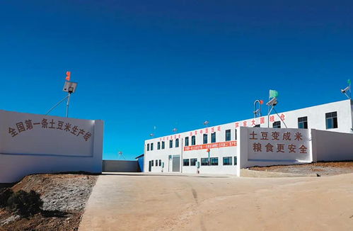 土豆也能变大米？中国“土豆米”掀起主食革命