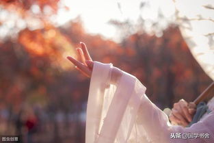 红尘修行的鱼儿：在《论语新解》中寻找生活的智慧