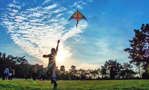 春天的浪漫从放风筝开始，感受风中自由的灵魂