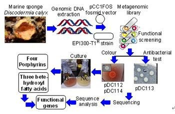 宏基因组学：揭秘猪粪与土壤中的抗性基因共存机制