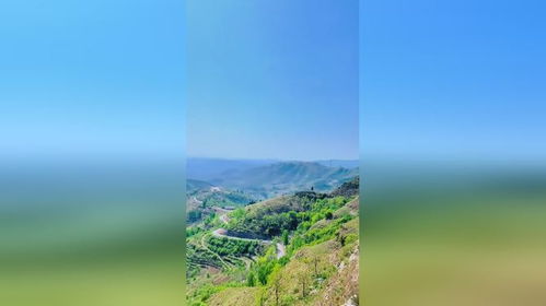 把春天装进音乐里：一场与春日的浪漫邂逅