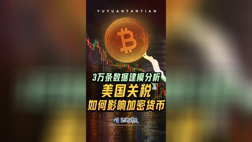 中美经贸关系新篇章：商务部长与美企高管的深度对话