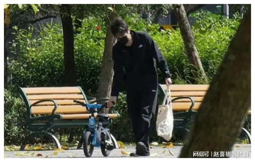 高圆圆赵又廷带娃逛公园：爱与平衡的艺术