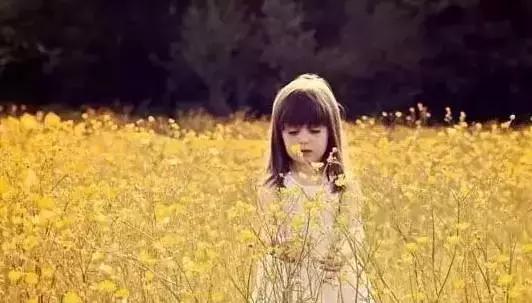 一半春色入心，一半时光予你：与春天的深情对话