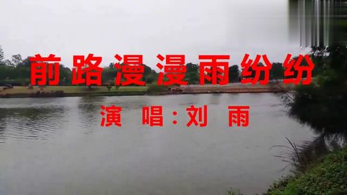 前路漫漫雨纷纷：在漂泊中寻找归宿