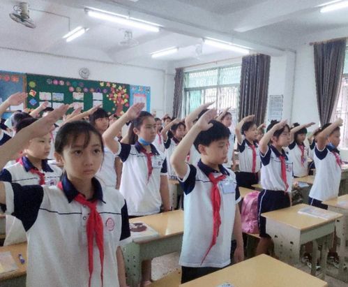 东莞学校因跳蚤全校放假？真相竟是这样！