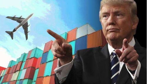 懂王对美国教育部动手：真相与影响全面解析