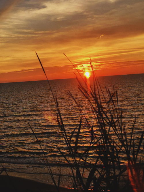 太阳越升起，越会落下：爱的满溢与伤害的边界