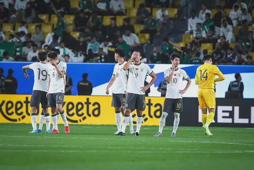 国足，没有幻想：一个球迷的思考与期盼