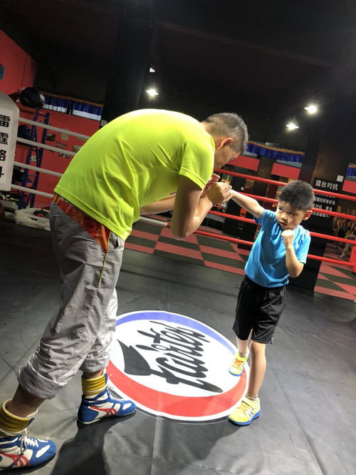 以拳会友：一场跨越国界的武术文化之旅