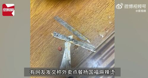 杨国福麻辣烫老鼠事件后续：从震惊到反思，我们该如何看待食品安全问题？