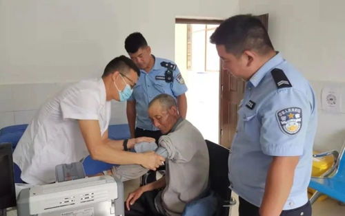 马未都70岁生日：从“大院子弟”到文博界传奇的前半生