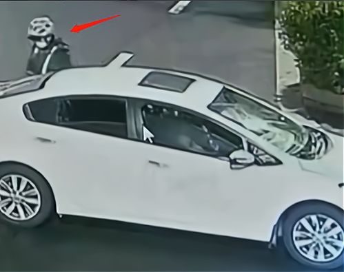 代驾小哥举报宝马车主：揭露社会现象背后的真相