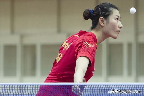 揭秘国家队运动员的日常：棒球1号位的训练生活