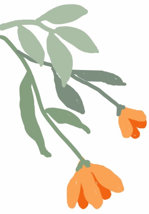 书香破茧：从迷茫到蜕变的阅读之旅