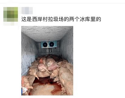 男子造谣“死猪制作火腿”事件始末：真相与反思