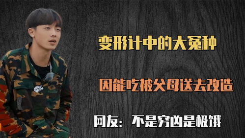 乘风2025初舞台：户外音乐节的震撼开启